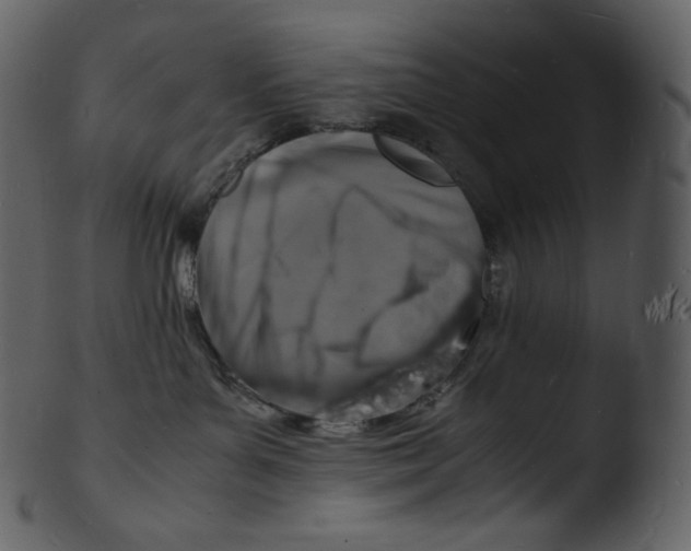 X0000103250143200809251400