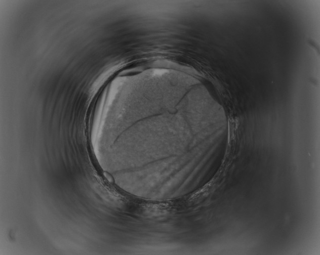 X0000103250147200809251359