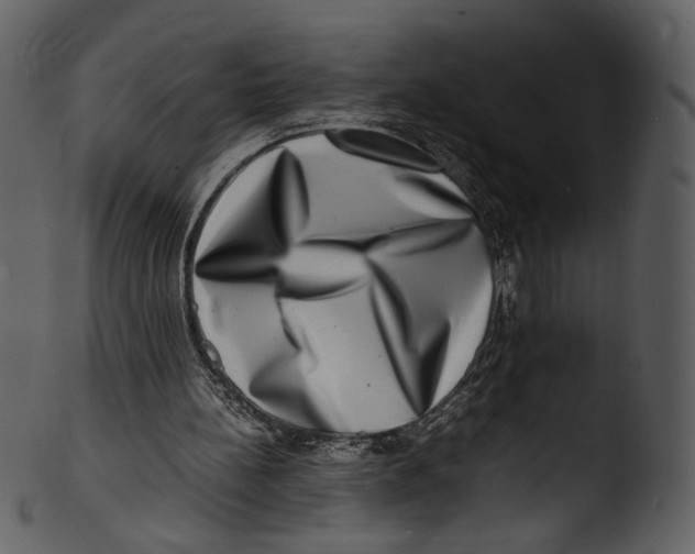 X0000103250148200809251359