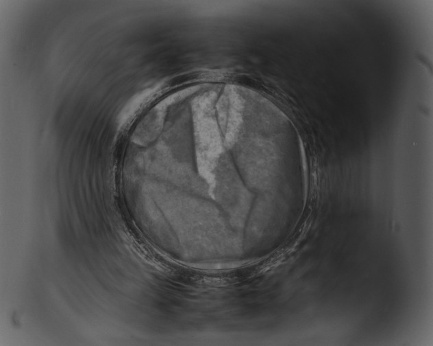 X0000103250149200809251359