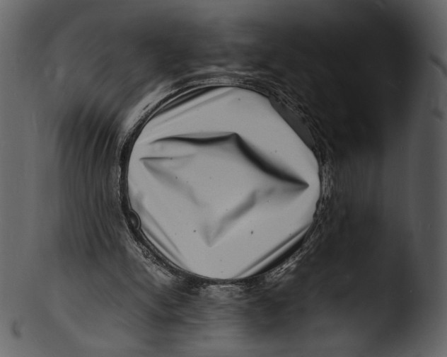X0000103250150200809251359