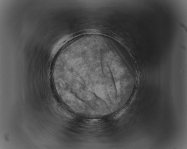 X0000103250151200809251359