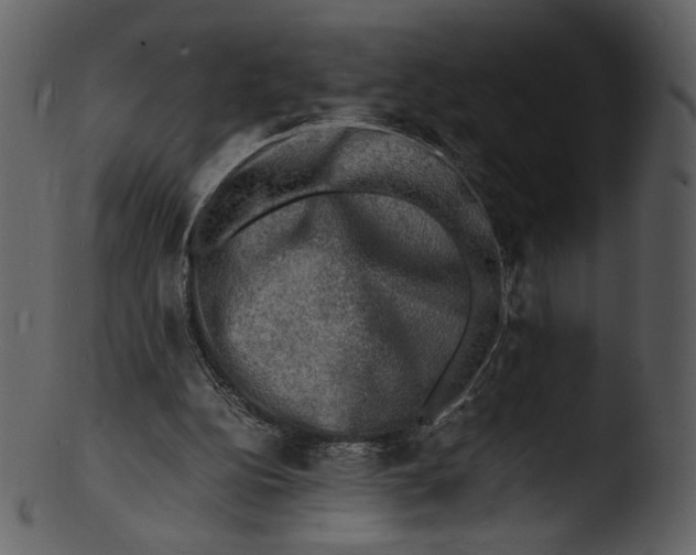 X0000103250152200809251359