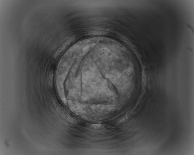 X0000103250153200809251359