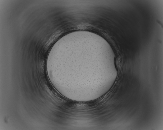 X0000103250154200809251359