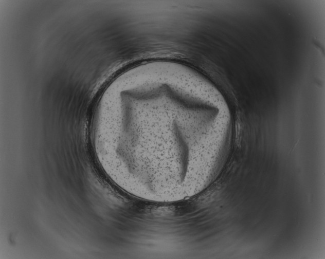X0000103250156200809251359