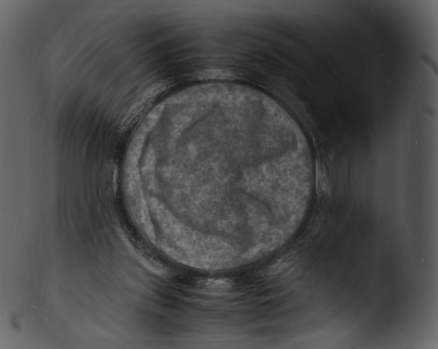 X0000103250157200809251359