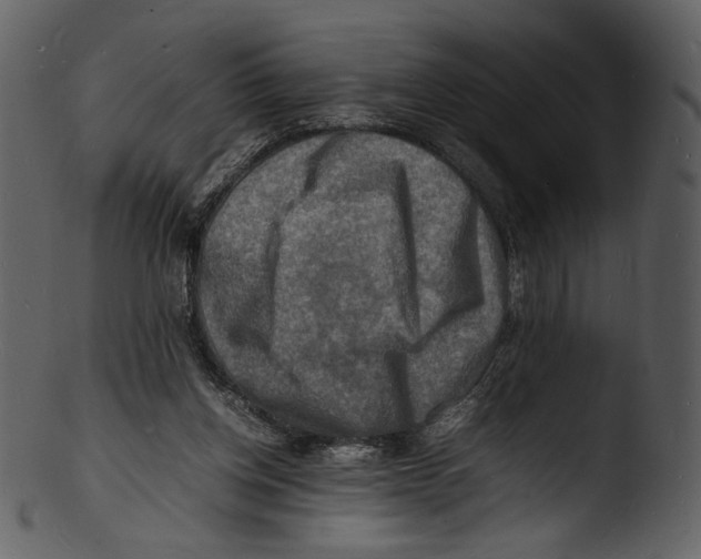 X0000103250158200809251400