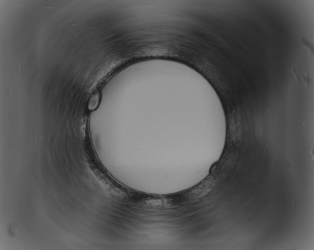 X0000103250160200809251400