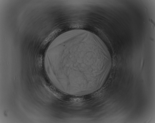 X0000103250163200809251400