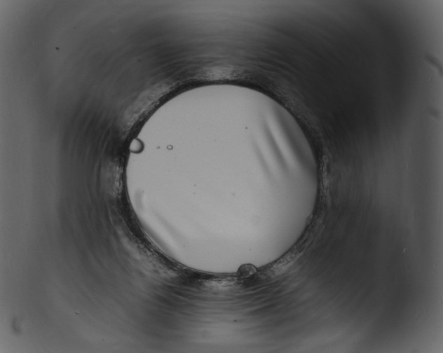 X0000103250164200809251400