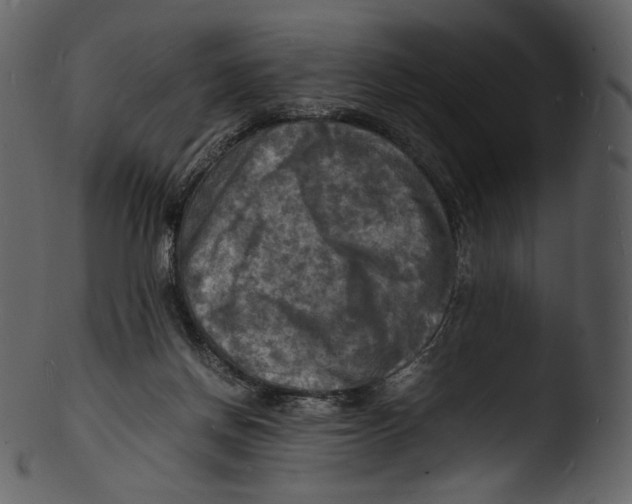 X0000103250166200809251400