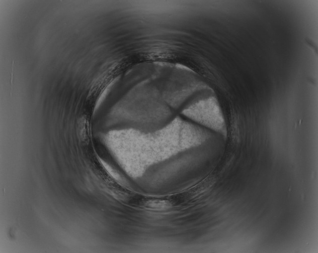 X0000103250169200809251400