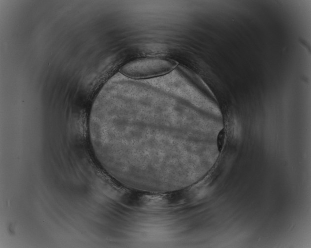 X0000103250170200809251400