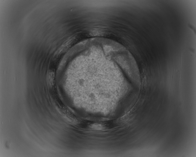 X0000103250171200809251400