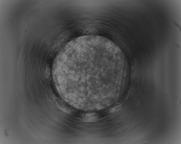 X0000103250173200809251400