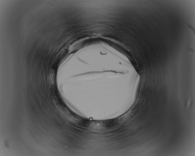 X0000103250174200809251400
