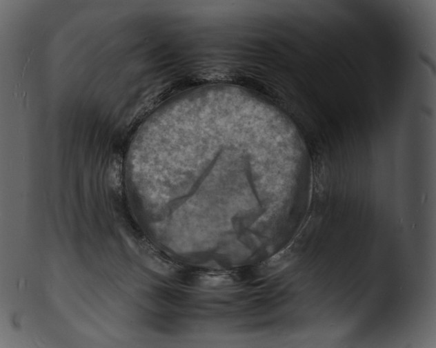 X0000103250175200809251400