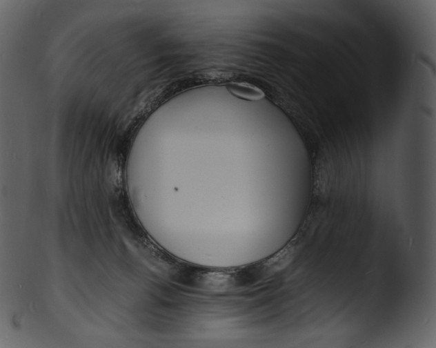 X0000103250176200809251400
