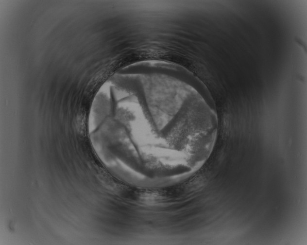 X0000103250177200809251400