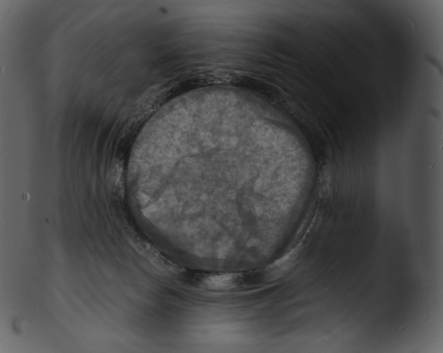 X0000103250178200809251400
