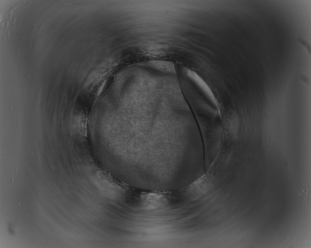 X0000103250180200809251400