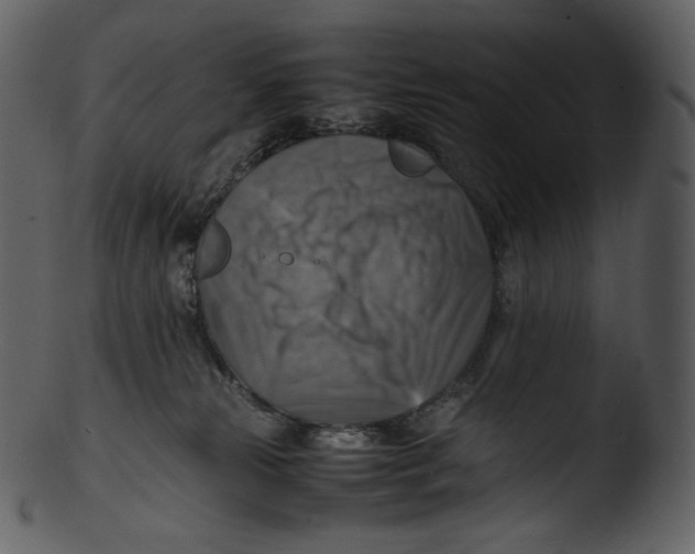 X0000103250181200809251400