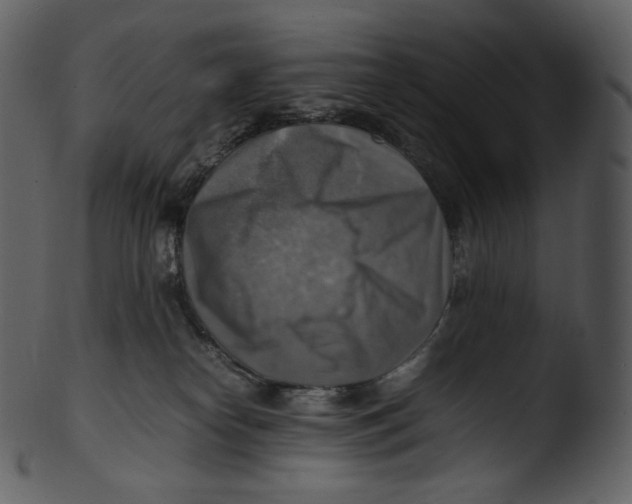 X0000103250182200809251400