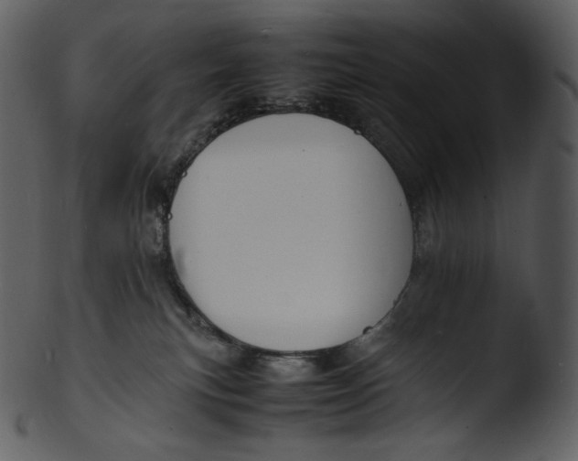 X0000103250183200809251400