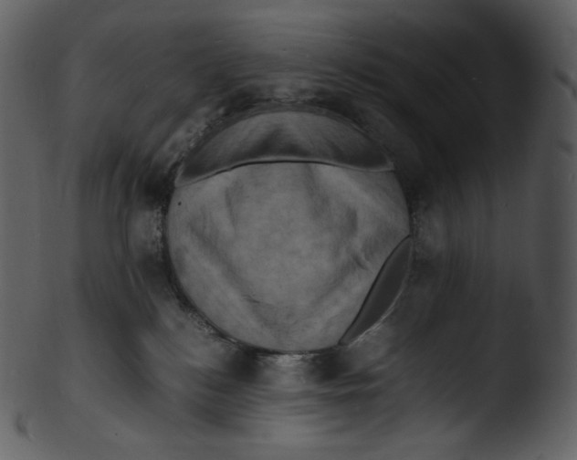 X0000103250184200809251400
