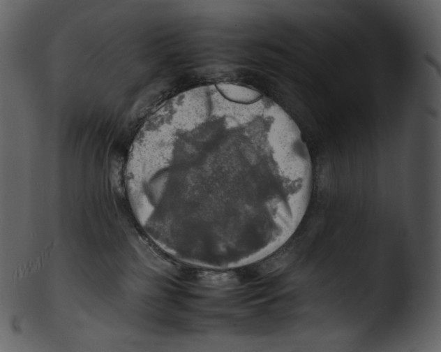 X0000103250185200809251400
