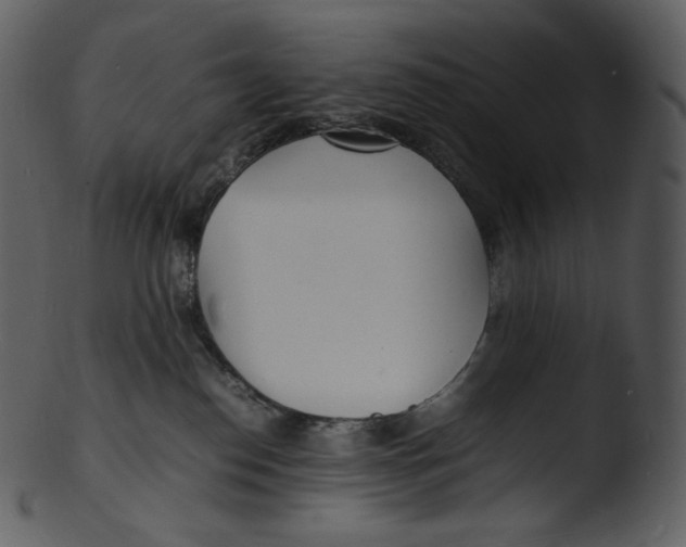 X0000103250186200809251400