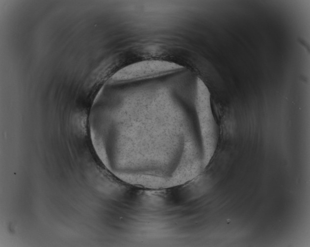 X0000103250188200809251400