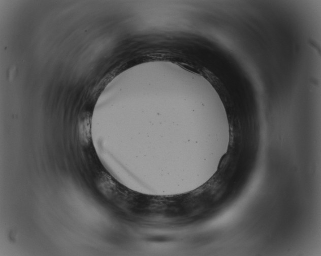 X0000103250190200809251400