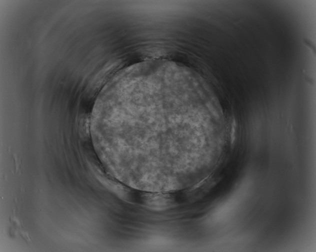 X0000103250191200809251400