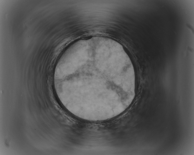 X0000103250193200809251359