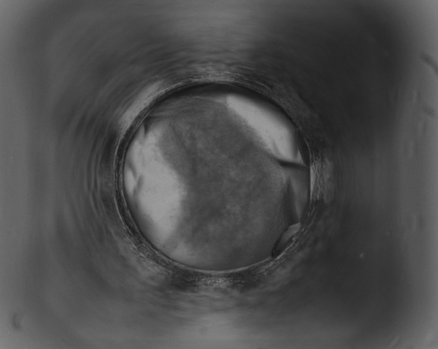 X0000103250195200809251359