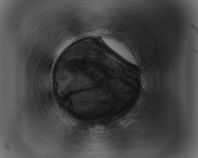 X0000103250196200809251359