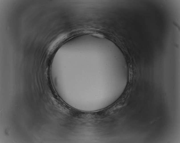 X0000103250197200809251359