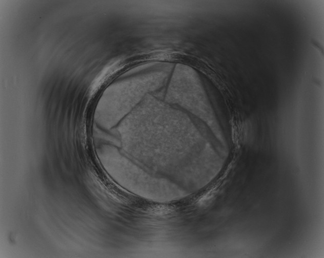 X0000103250198200809251359