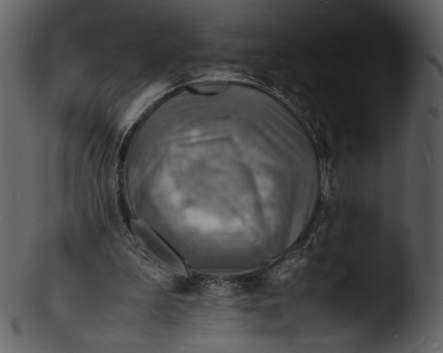 X0000103250199200809251359