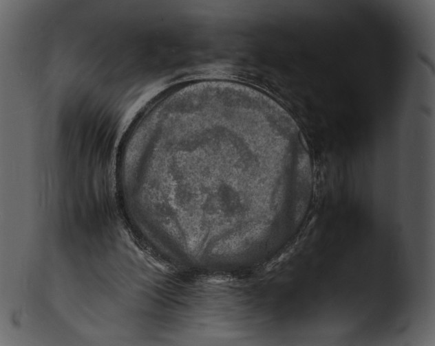 X0000103250200200809251359