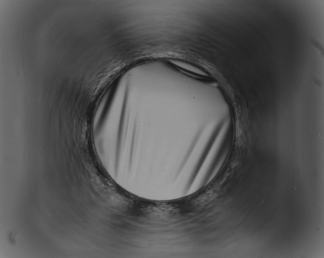 X0000103250201200809251359