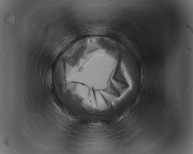 X0000103250202200809251359