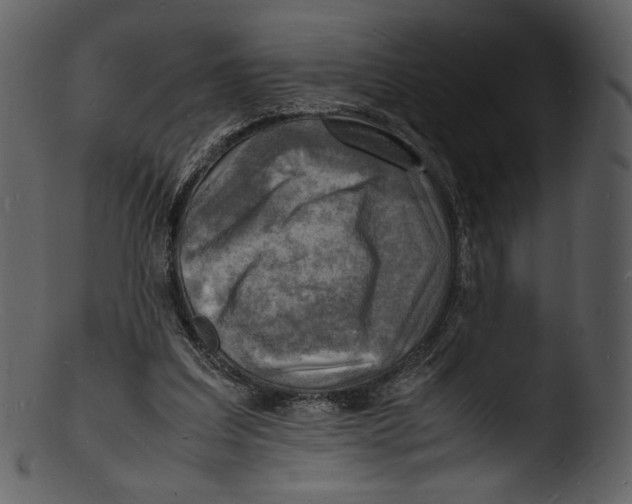 X0000103250203200809251359