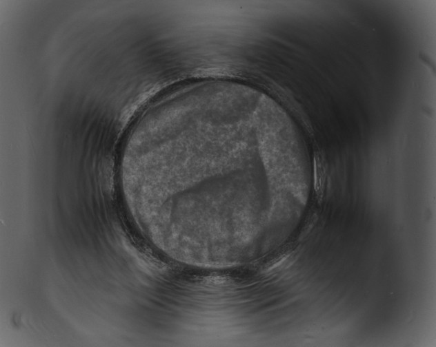 X0000103250204200809251359