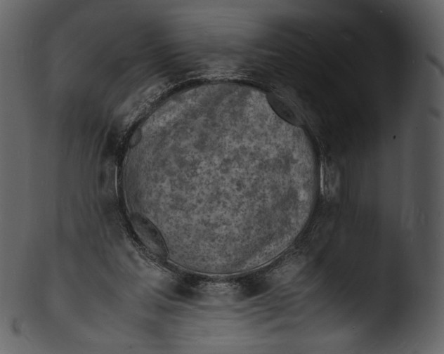 X0000103250205200809251359