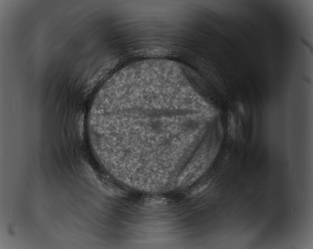 X0000103250206200809251359