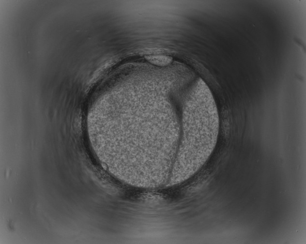 X0000103250207200809251359