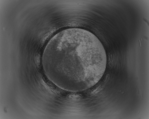 X0000103250208200809251359